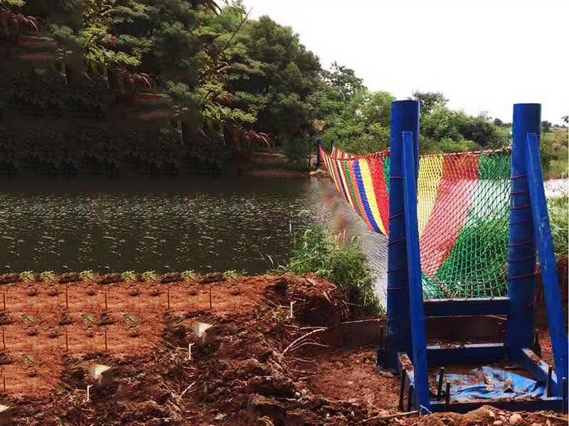 案例應(yīng)用19