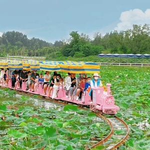 機(jī)械動(dòng)力類(lèi)